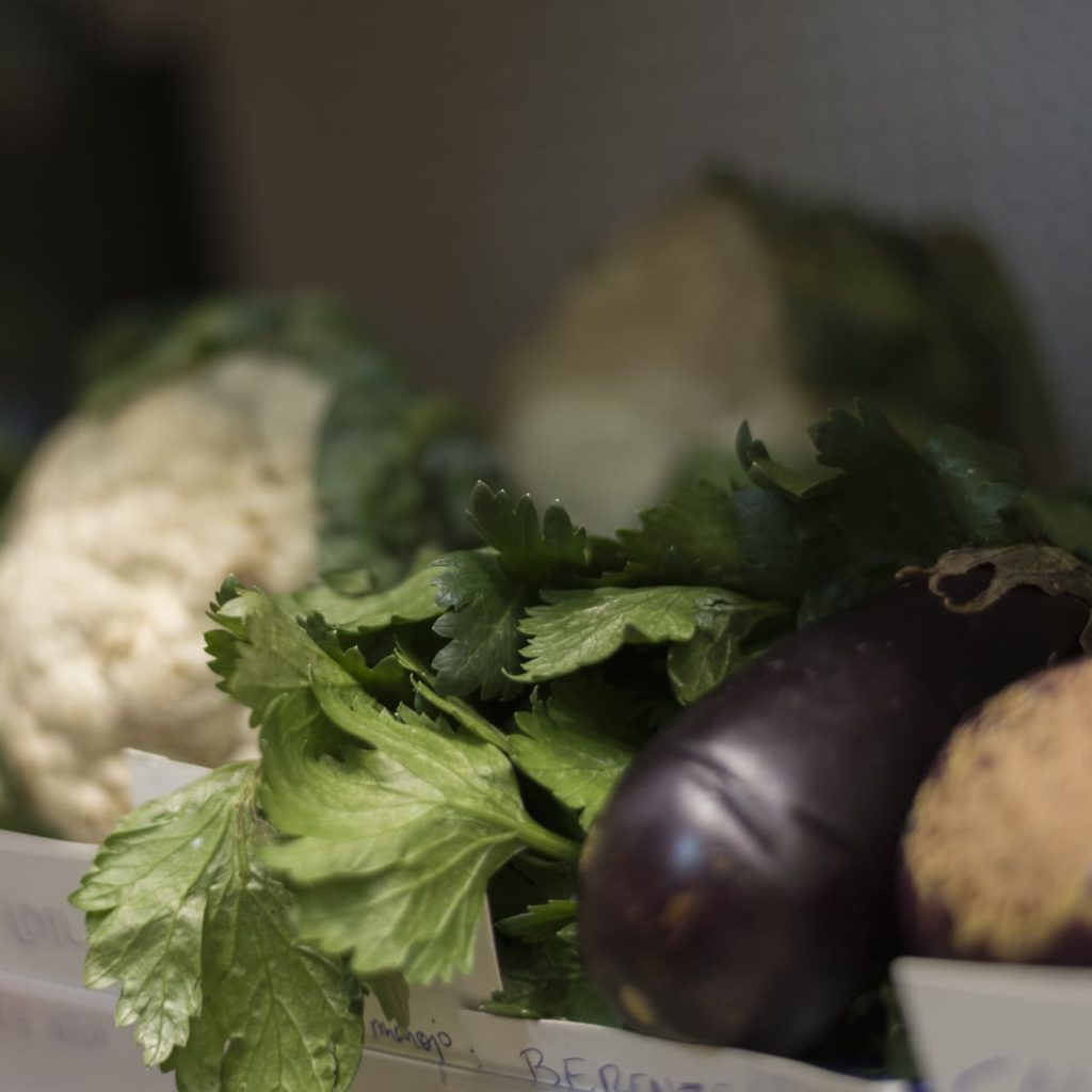 verduras y frutas ecologicas